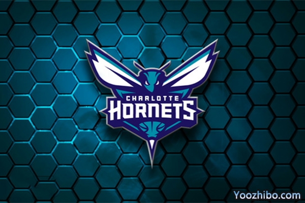 2019-2020赛季<a href=/lanqiuremen/hornets/ target=_blank class=infotextkey>黄蜂</a>队队徽